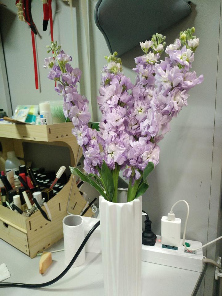 星空体育app下载