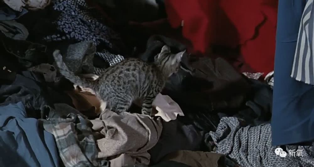 星空体育app下载