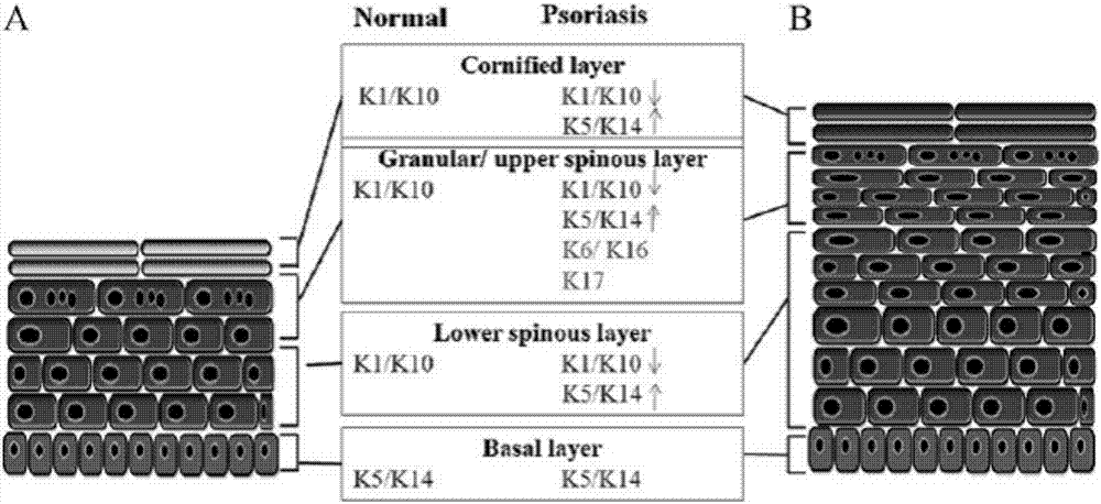 星空体育app下载