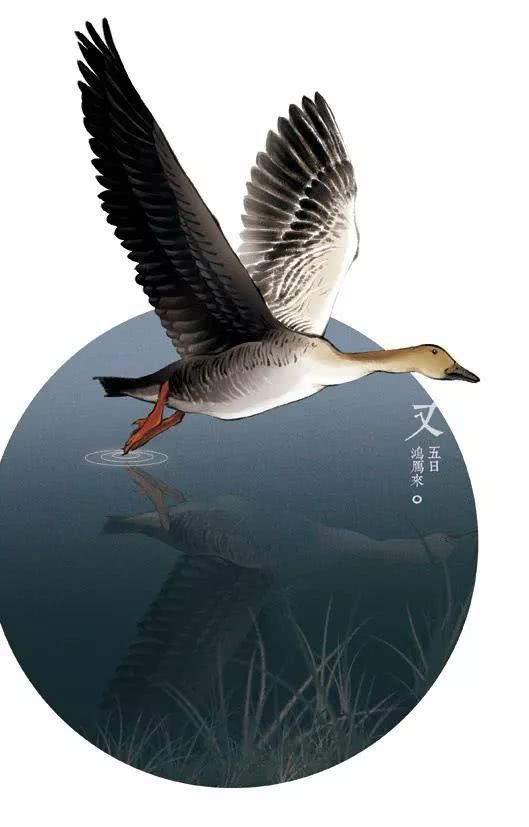 星空体育app下载