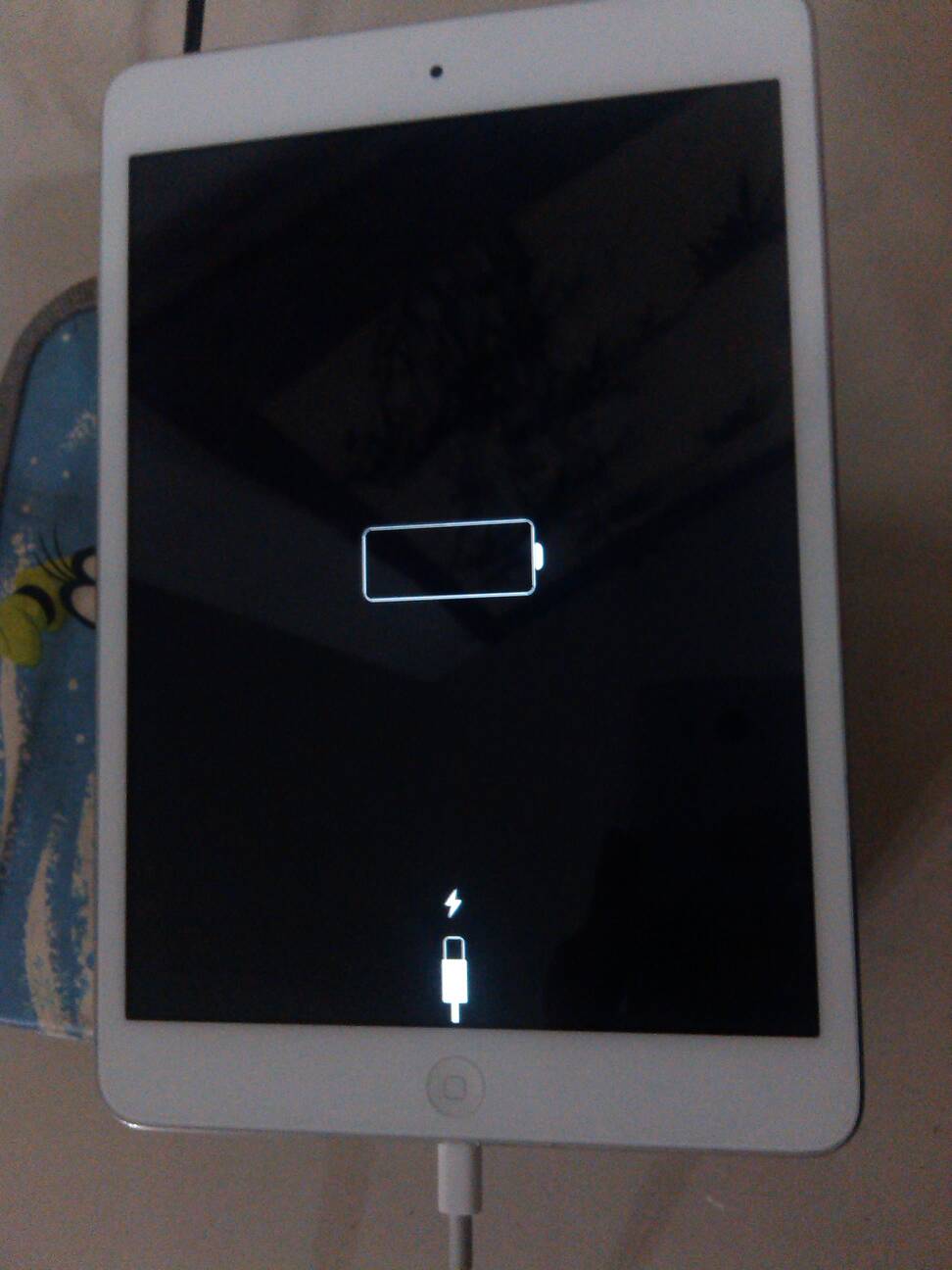 星空体育APP网站