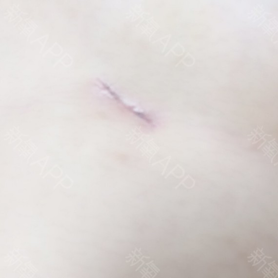 星空体育app下载