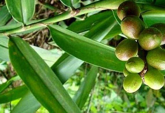 星空体育app下载