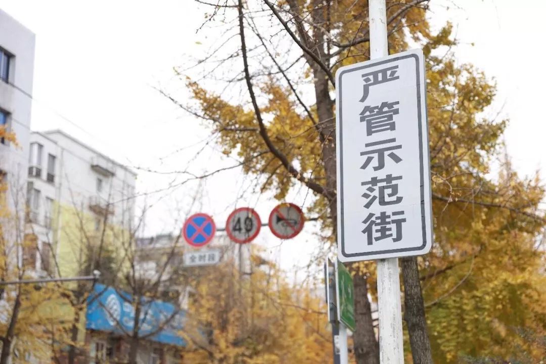 ‘星空体育APP网站’鲁能将在中锋位置进行轮休调整!佩莱本轮无缘出战他将上位首发(图1) 星空体育APP