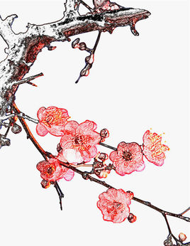 欧冠-C罗染红皮亚尼奇两点球 10人尤文2-0瓦伦‘星空体育app下载’(图4) 星空体育APP网站