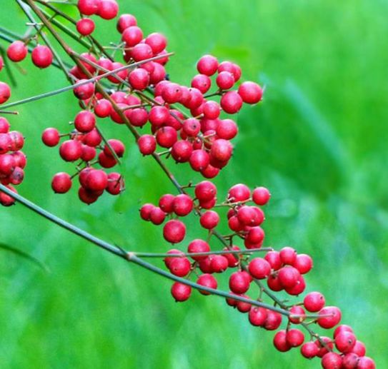 【星空体育APP】深圳文交所2019年首场“朔拍”举槌(图2) 星空体育APP网站