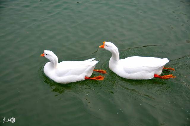 星空体育APP-原创巴萨明年转会计划曝光!三位置急需补强,梅西国家队队友有望来投(图3) 星空体育APP网站