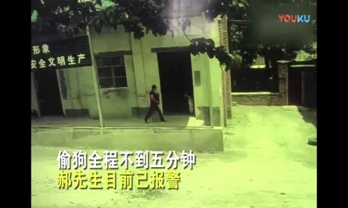 星空体育APP网站