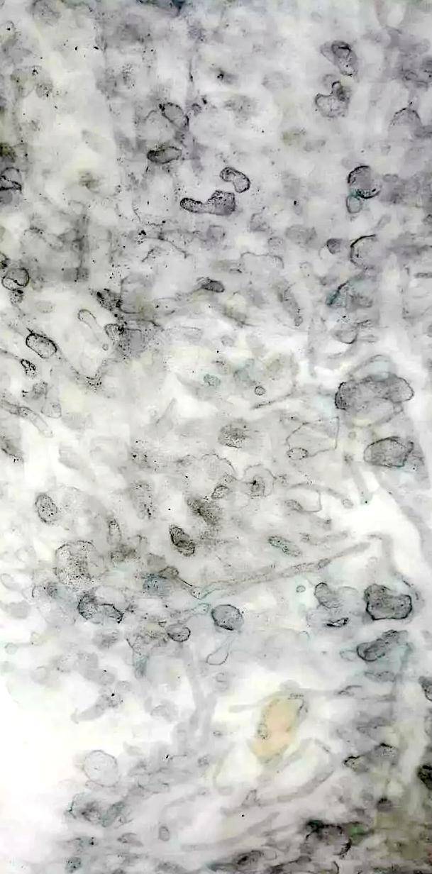 恩波利VS米兰前瞻:伊瓜因能否率球队联赛止颓?“星空体育APP”(图1) 星空体育APP