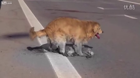 在切尔西得不到机会,巴卡约科希望回到AC米兰_星空体育APP(图2) 星空体育app下载