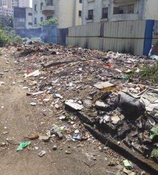 星空体育APP网站