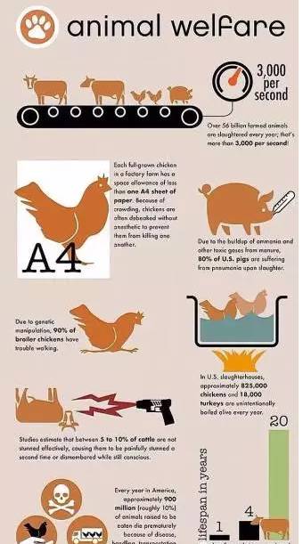 星空体育app下载