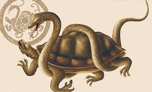 星空体育APP网站