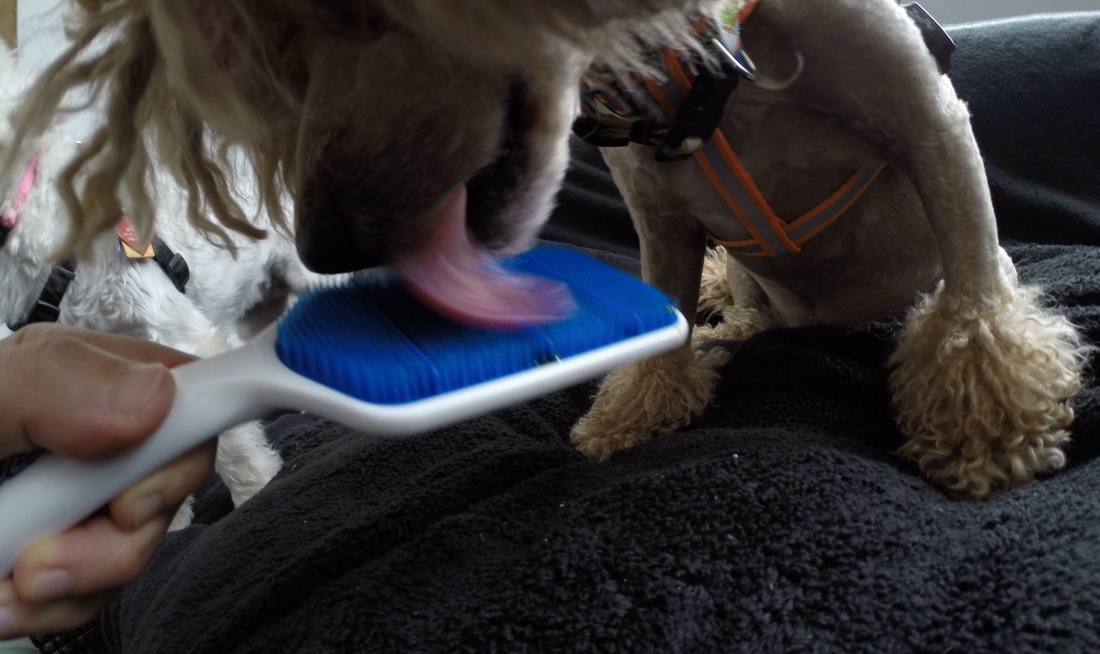 星空体育APP网站