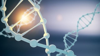 旅美华人招思虹向中国国家博物馆捐赠百余件(套)文物_星空体育APP网站(图2) 星空体育app下载