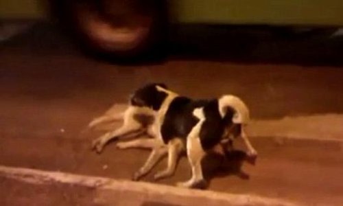 外媒:恒大今夏再追纳因戈兰 开1200万欧高薪‘星空体育APP网站’(图4) 星空体育app下载