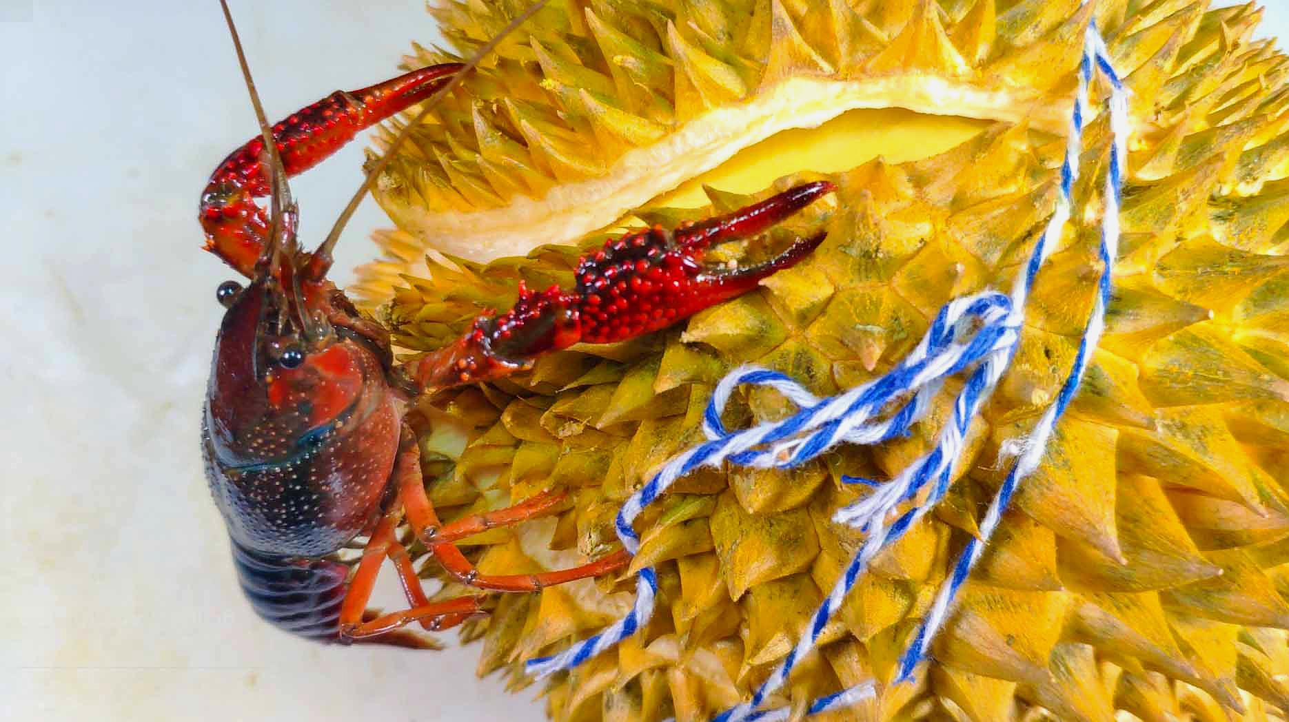 星空体育APP网站