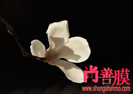 星空体育app下载|马尔蒂尼:转会窗口还没结束,让我们看看接下来会发生什么(图1) 星空体育APP网站