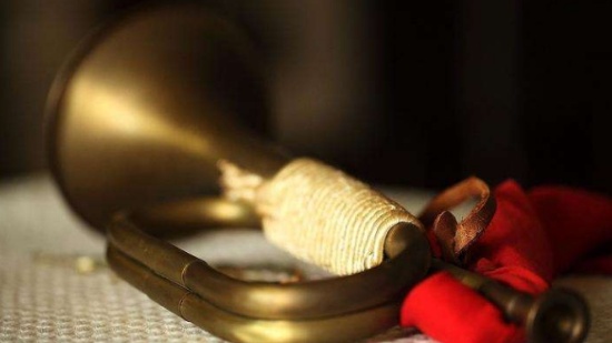 星空体育APP网站