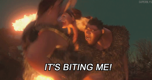 星空体育APP网站:佩雷拉即将复出!为上港加冕而拼 胜负在此一举(图1) 星空体育app下载