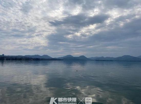 星空体育APP网站