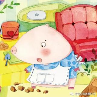 星空体育APP网站