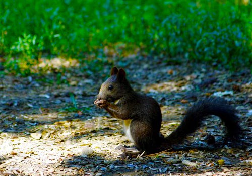 星空体育app下载