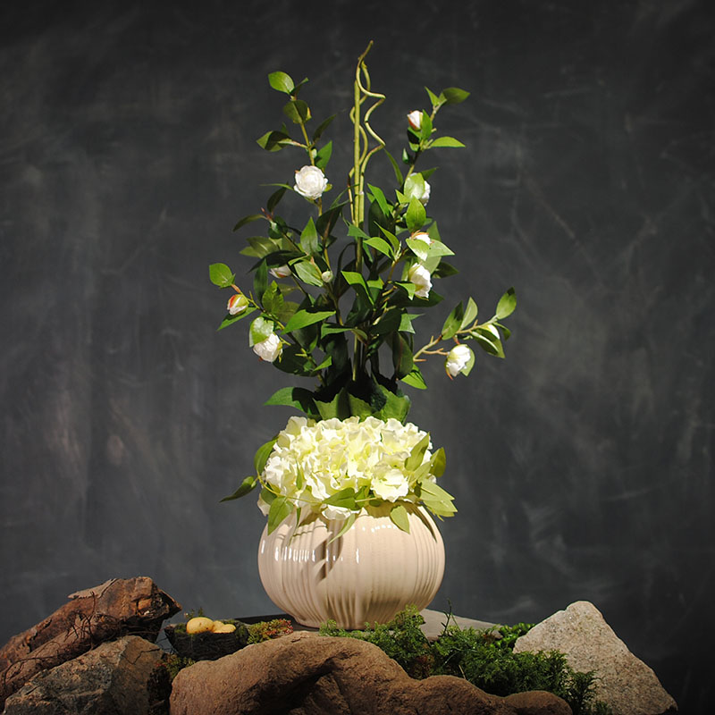 星空体育app下载