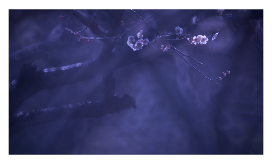 星空体育APP网站