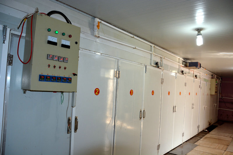 星空体育APP网站