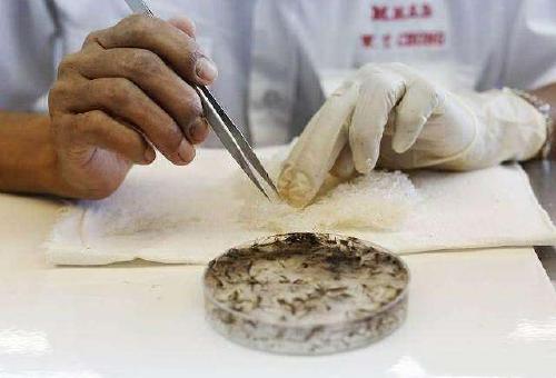 巴萨追蓝黑军团未来后卫真核 国米:他是非卖品-星空体育APP网站(图2) 星空体育app下载