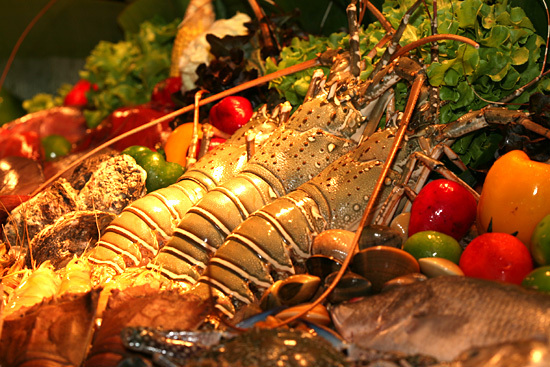 星空体育app下载