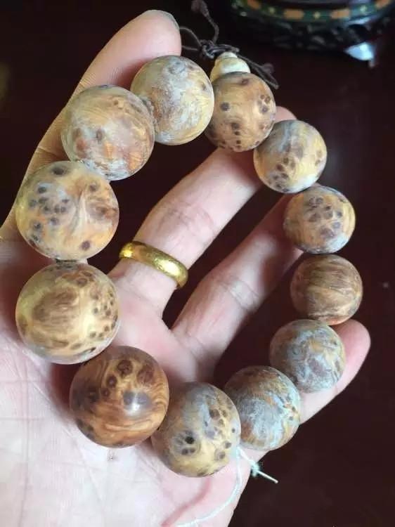 星空体育app下载