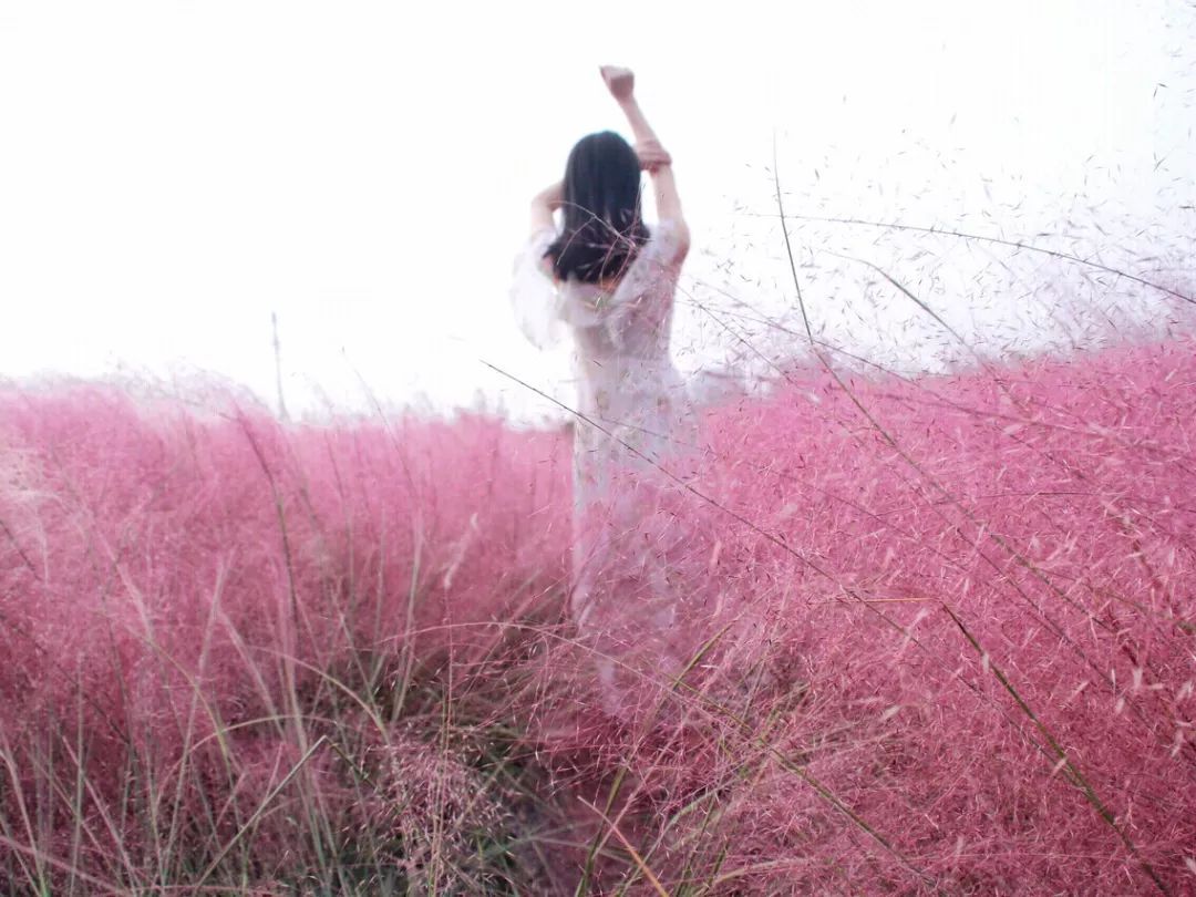 星空体育app下载