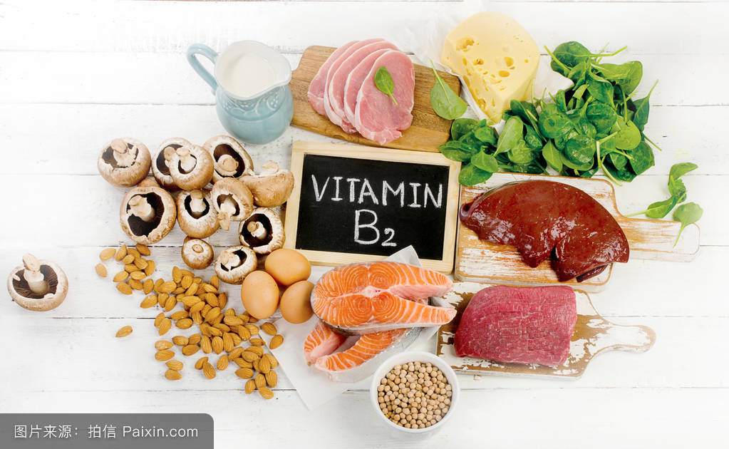 星空体育APP网站