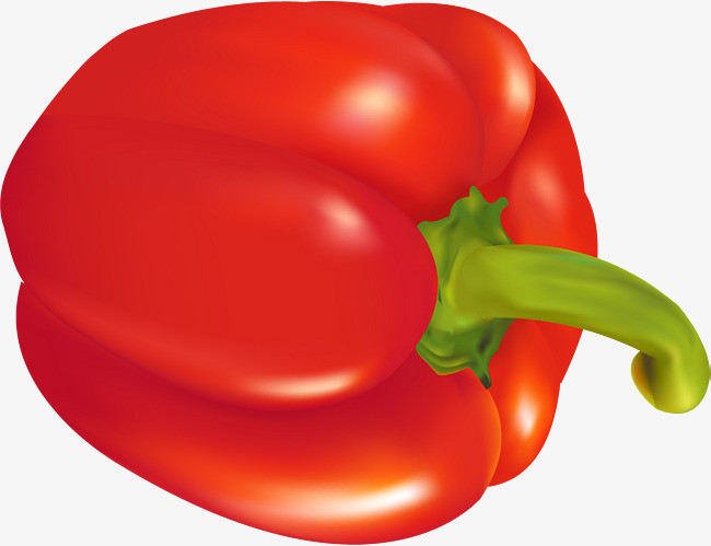 星空体育APP网站