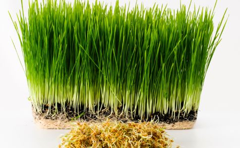 星空体育APP网站