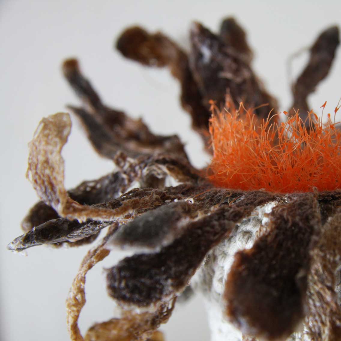 星空体育app下载