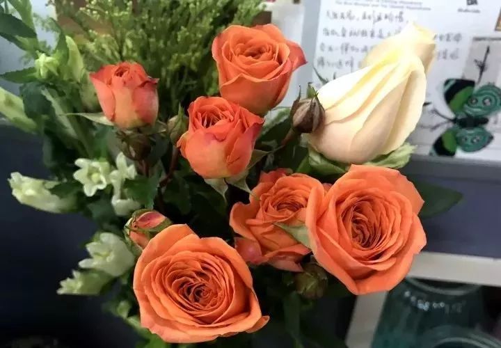 星空体育app下载