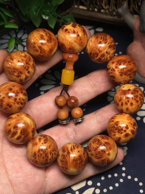 星空体育app下载