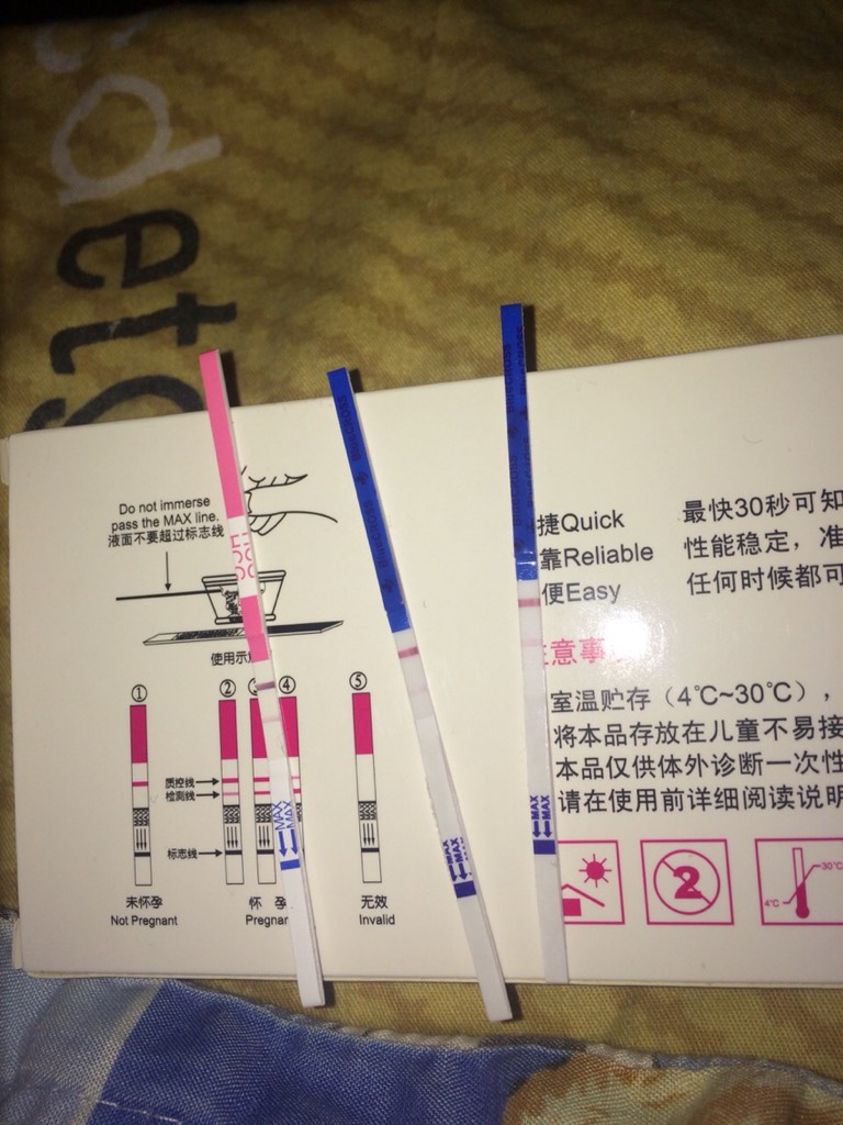 星空体育APP网站