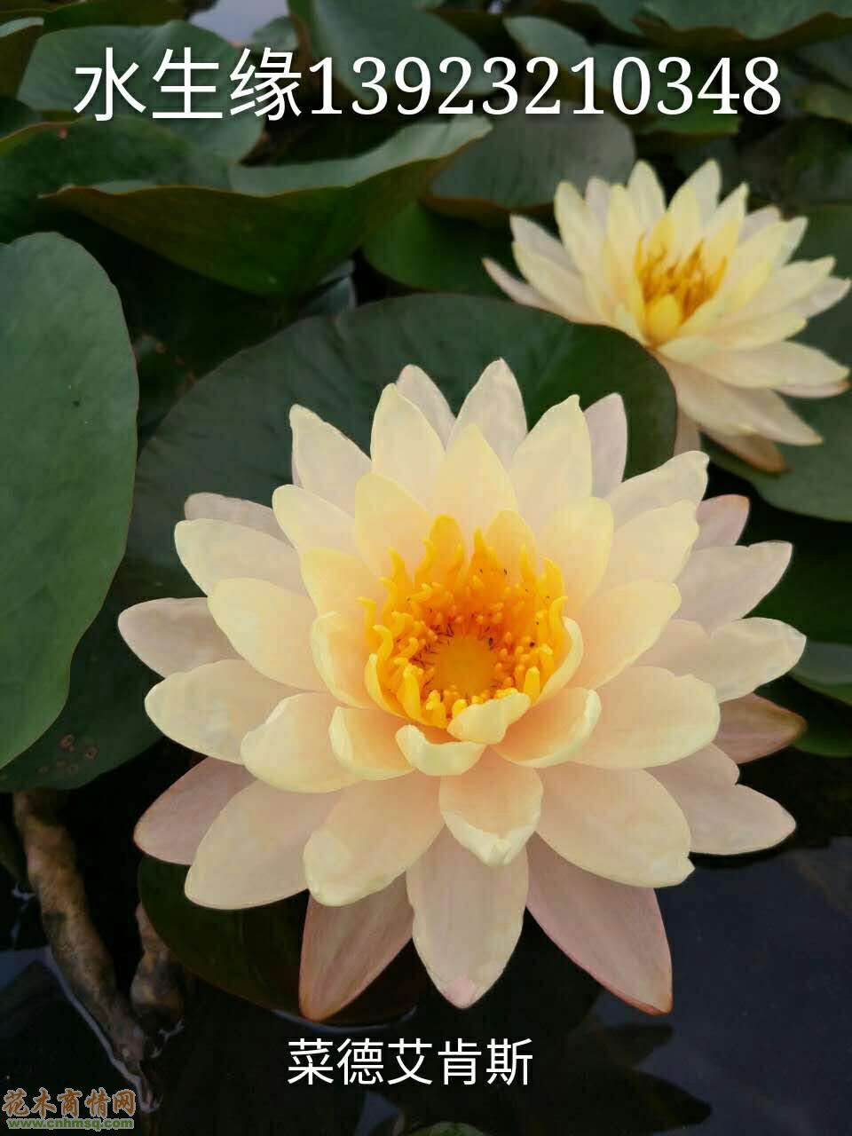 星空体育app下载