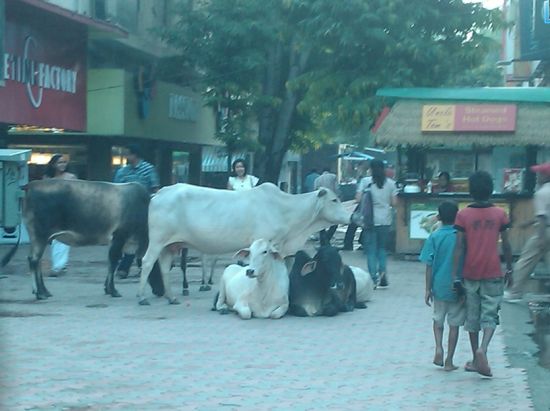 星空体育APP网站